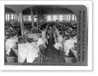 Historic Framed Print, Sewing room, shirt factory, Troy, N.Y.,  17-7/8" x 21-7/8"