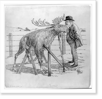 Cartoon showing Theodore Roosevelt looking at bull moose propped up with boards.McKee Barclay, Vintage Poster