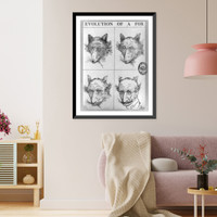 Evolution of a fox.Greene, Antique Print