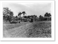Entradas y salidas de carretas de ca&ntilde;a Sugar cane carts coming and going.C.D. Fredricks y Daries, Calle de la Habana, no. 108. Classic, Historic Reproduction