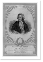Nella inaugurazione del monumento a Luigi Galvani, l'Accademia delle Scieinze dell'Istituto di Bologna.F. Spagnoli, dis. ; A. Marchi, inc, Antique Print