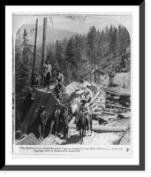 The skidway over which the great logs are dragged to the mill, Millwood, California Classic, Antique Print