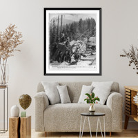The skidway over which the great logs are dragged to the mill, Millwood, California Classic, Antique Print