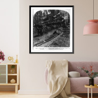 Historic Framed Print, Logging among the big trees of California. mules hauling logs to the mill on skids, Converse Basin,  17-7/8" x 21-7/8"