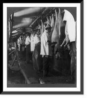 Hog scraping rail, Armour's Packing Plant, Chicago, U.S.A, Historic Reproduction