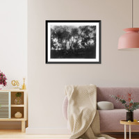 Historic Framed Print, [St. Davids Park, Green Cove Springs, Florida].Geo. Barker, photographer, Niagara Falls, N.Y.,  17-7/8" x 21-7/8"