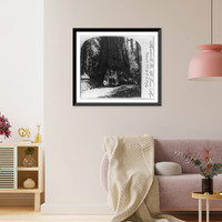 Historic Framed Print, The Wawona tree, Maraposo [i.e. Mariposa] Grove, Cal., U.S.A.,  17-7/8" x 21-7/8"