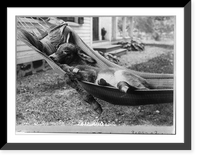 Fast asleep".Louis D. Tandy, Schenechtady sic, N.Y.", Antique Print