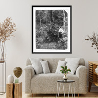 Coffee plant, Moya Gulpa plantation near Buena Retira(?), Nicaragua, Antique Poster