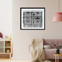 Historic Framed Print, [Eight Confederate bills ranging in value from five to one hundred dollars],  17-7/8" x 21-7/8"