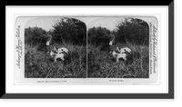 Historic Framed Print, The critical moment,  17-7/8" x 21-7/8"
