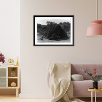 Historic Framed Print, Diegue&ntilde;o house at Campo,  17-7/8" x 21-7/8"