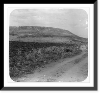 Megiddo, Tell Mutesellim, Antique Poster