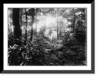 Historic Framed Print, Braddock's Road & White Oak Level Road. (Braddocks Battle field),  17-7/8" x 21-7/8"