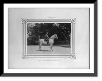 A white horse named Aver.Constantinople, Abdullah Fr&egrave;res, Antique Wall Art