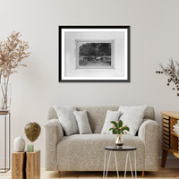 Historic Framed Print, [The mares separated from the six month old foals].Constantinople, Abdullah Fr&egrave;res.,  17-7/8" x 21-7/8"