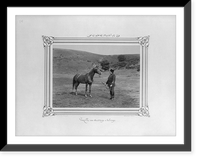 The horse named Gazal exercising with halter.Constantinople, Abdullah Fr&egrave;res, Vintage Print