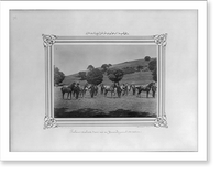 The three year old foals born in the first section of the Imperial Stud Farm.Constantinople, Abdullah Fr&egrave;res, Vintage Wall Art