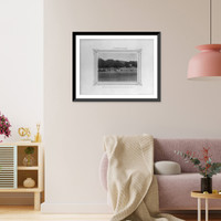 Historic Framed Print, [The mares of the first section separated from their foals].Constantinople, Abdullah Fr&egrave;res.,  17-7/8" x 21-7/8"