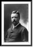 Historic Framed Print, [Theodore Roosevelt, half-length portrait, facing left],  17-7/8" x 21-7/8"
