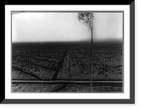 Rubber plantations in Sumatra: Bird's-eye view from Bukit Hantoe, Goerach Batoe Estate, Antique Wall Art