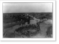 Stream from an artesian well in Kern County, California, and herd of cattle, Antique Wall Art