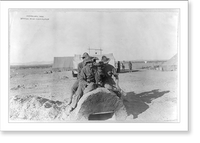 Historic Framed Print, [U.S. Army tent camp in Mexico, 1914: 3 soldiers sitting atop field oven with baby goat],  17-7/8" x 21-7/8"