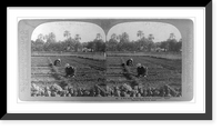 Historic Framed Print, A Nile farm, showing method of irrigation, Egypt,  17-7/8" x 21-7/8"