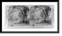 Historic Framed Print, Trenches deserted by Aguinaldo's army, Malabon, Philippine Islands,  17-7/8" x 21-7/8"