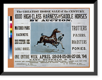 The Greatest Horse Sale of the Century - 1000 High-Class Harness and Saddle Horses by Auction - 2 Classic, Vintage Wall Art