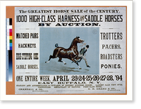 The Greatest Horse Sale of the Century - 1000 High-Class Harness and Saddle Horses by Auction - 2 Classic, Vintage Wall Art