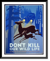 Don't kill our wild life, Historic Print