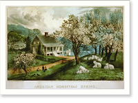 Historic Framed Print, American homestead spring - 2,  17-7/8" x 21-7/8"