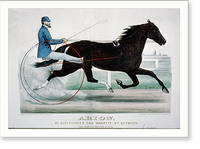 Historic Framed Print, Arion: by Electioneer, dam Manette by Nutwood,  17-7/8" x 21-7/8"