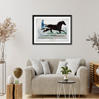 Historic Framed Print, Arion: by Electioneer, dam Manette by Nutwood,  17-7/8" x 21-7/8"