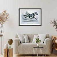 Historic Framed Print, Bay Gelding Alley, by volunteer,  17-7/8" x 21-7/8"