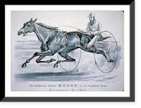 Vintage Photo Print - Celebrated trotter Moose - Vintage Home Decor Print