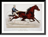 Historic Framed Print, The grand stallion Maxy Cobb, by Happy Medium: driven by John Murphy,  17-7/8" x 21-7/8"