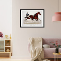 Historic Framed Print, The grand stallion Maxy Cobb, by Happy Medium: driven by John Murphy,  17-7/8" x 21-7/8"