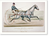 The grey mare Lucy, the pacing queen of the famous quartette of 1879 Classic, Historic Print