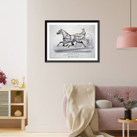 Black & White Photo - Hopeful: grey gelding, by Godfrey's Patchen