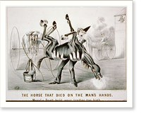 Vintage Photo Print - The horse that died on the man's hands: moral