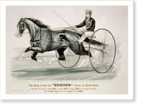 Historic Framed Print, The king of the turf Dexter" driven by Budd Doble",  17-7/8" x 21-7/8"