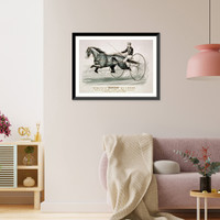Historic Framed Print, The king of the turf Dexter" driven by Budd Doble",  17-7/8" x 21-7/8"