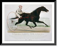 The pacing wonder Sleepy Tom, the Blind Horse: with Phillips, his driver coaxing him to go in and win" sired by Tom Rolfe, son of Old Pocohantus" Classic, Historic Print