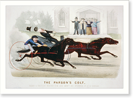 Black & White Photo - The Parson's colt - Vintage Wall Art Gift
