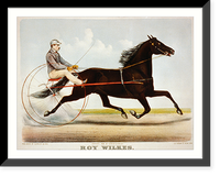 Roy Wilkes: record 2:14 1/2, Historic Print