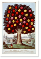 Historic Framed Print, The tree of temperance - 2,  17-7/8" x 21-7/8"