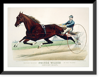 Trotting gelding Prince Wilkes by Red Wilkes: record 2:14 3/4, Vintage Poster