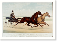 The celebrated trotting mares Maud S. and Aldine, as they appeared June 15th 1883: At the gentlemen's driving park, Morrisania, N.Y. driven by their owner, William H. Vanderbilt, Esq. - 2 Classic W